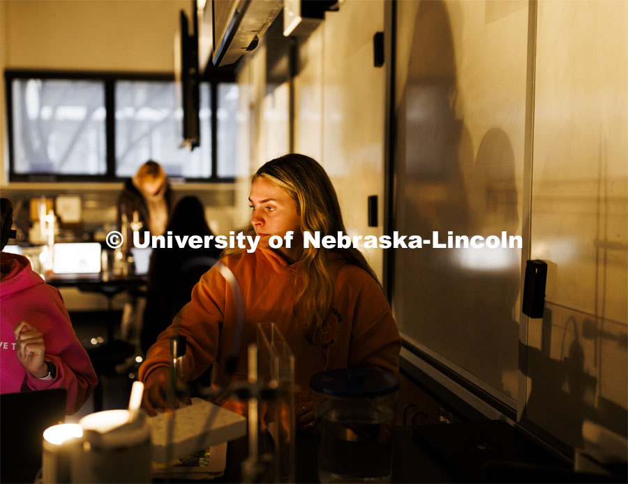 Photosynthesis experiment. LIFE 120L - Fundamentals of Biology lab in Manter Hall. March 26, 2024. Photo by Craig Chandler / University Communication and Marketing.