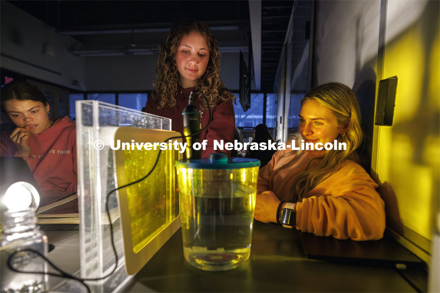 From left, Jadeyn Bubak, Allyson Foged and Ashlin Broz watch their photosynthesis experiment in LIFE 120L - Fundamentals of Biology lab in Manter Hall. They measured the oxygen generation from a spinach leaf under colored light. March 26, 2024. Photo by Craig Chandler / University Communication and Marketing.