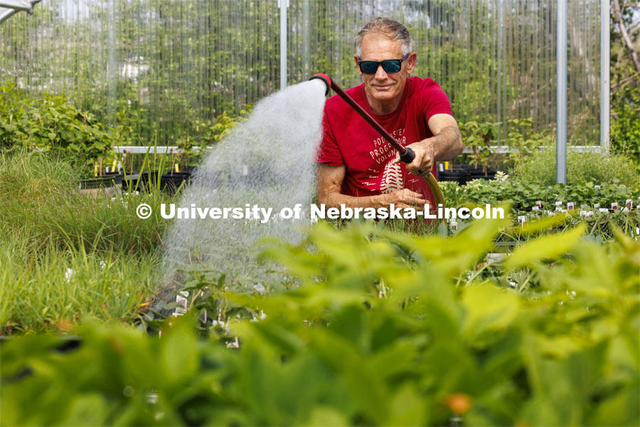 Bob Henrickson waters the plants growing in the east campus greenhouse for the plant sale. 2024 Spring Affair plant sale by the Nebraska Statewide Arboretum is April 25-27. April 15, 2024. Photo by Craig Chandler / University Communication and Marketing.