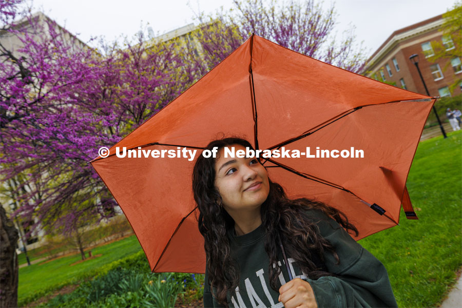 Jessica Meza, a sophomore in journalism and advertising and public relations, glances at the flowering trees while walking across campus. April 25, 2024. Photo by Craig Chandler / University Communication and Marketing.