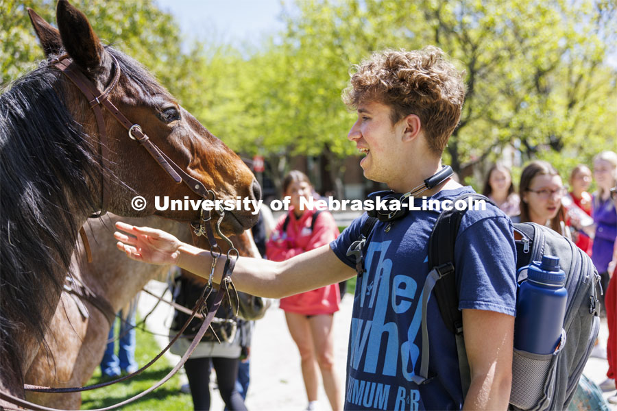 Daniel Koland talks with Jemma the horse. The Nebraska Rodeo Team gave Huskers a chance to be up close to their horses and even go for a ride. The team filled the space northwest of the Union to help promote their Nebraska Cornhusker College Rodeo being held Friday and Saturday. April 29, 2024. Photo by Craig Chandler / University Communication and Marketing.