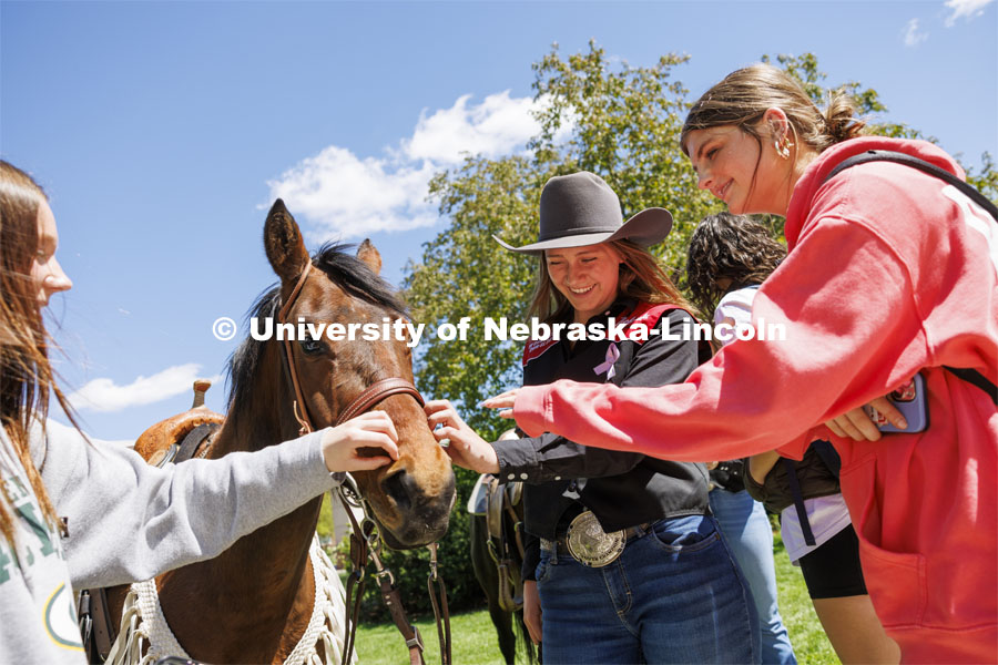 Nettie the horse has its nose scratched by Sami Lange, center, a rodeo team member, and Juliet Traver-Kazemba, left, and Maggie Gessner. The Nebraska Rodeo Team gave Huskers a chance to be up close to their horses and even go for a ride. The team filled the space northwest of the Union to help promote their Nebraska Cornhusker College Rodeo being held Friday and Saturday. April 29, 2024. Photo by Craig Chandler / University Communication and Marketing.
