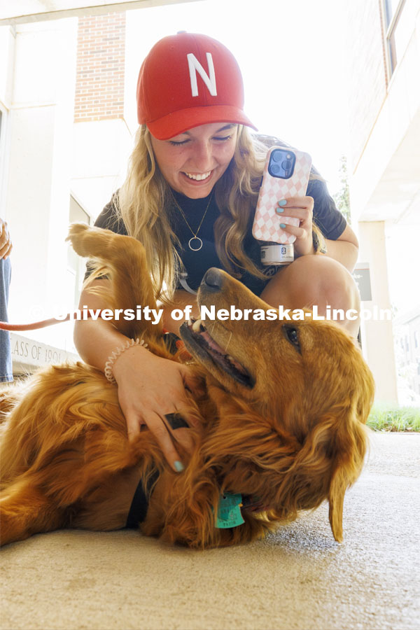 Brooke Murphy gives Poppy Joy Firework a scratch. Therapy dogs from Domesti-PUPS are on campus this week from 1-2 pm in-between Love Library North and South. Finals week on campus. May 14, 2024. Photo by Craig Chandler / University Communication and Marketing.