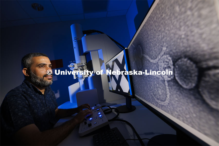 Bara Altartouri, a post-doc research associate in the Center for Biotechnology, looks over an image of a bacteriophage, viruses that infect and replicate only in bacterial cells, imaged at 100,000X magnification from the center’s Hitachi HT7800 transmission electron microscope in the Morrison Microscopy Core Research Facility. June 12, 2024. Photo by Craig Chandler / University Communication and Marketing.