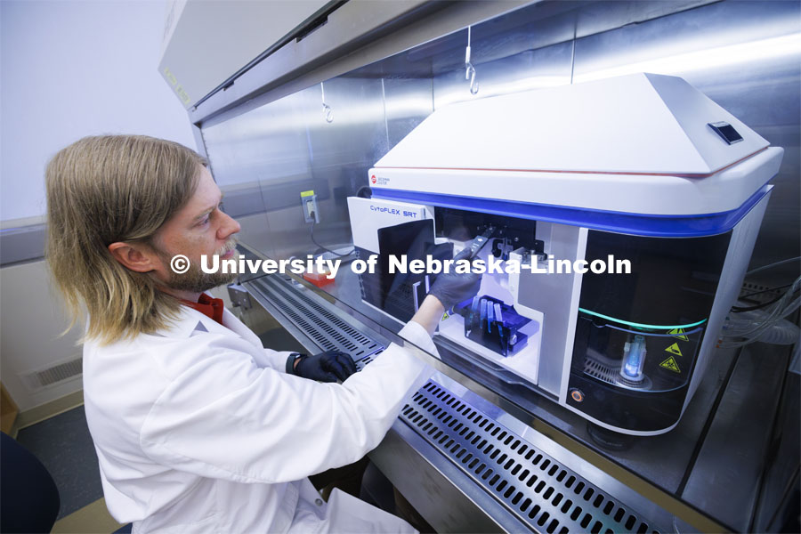 Flow Cytometry Service Center Manager Dirk Anderson works in the Flow Cytometry lab in the Morrison Center. Nebraska Center for Biotechnology. June 13, 2024. Photo by Craig Chandler / University Communication and Marketing.