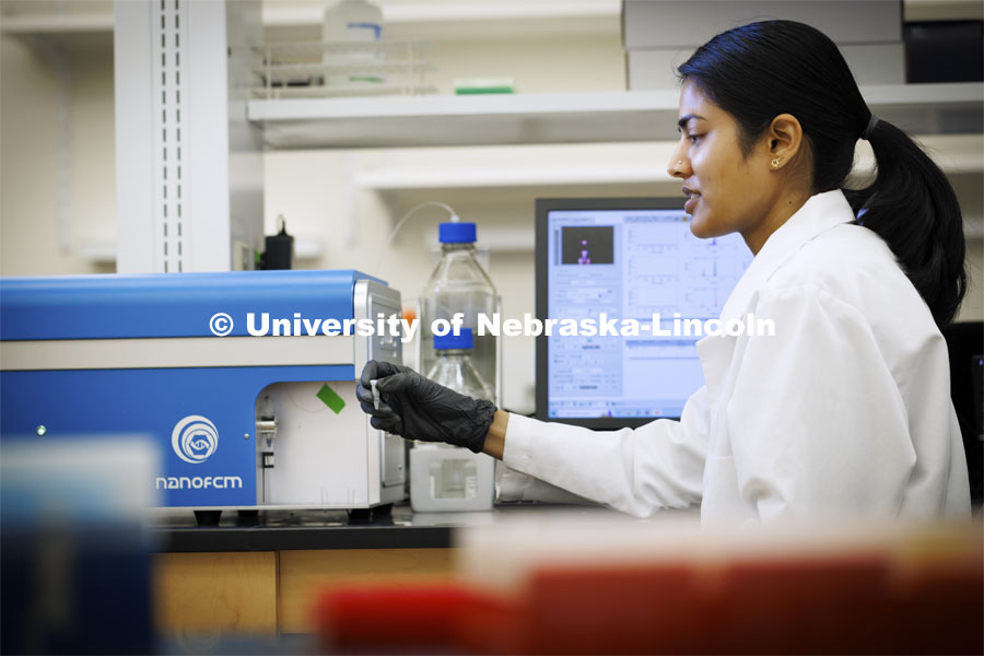 Sushmita Kumari, a graduate student in Integrative Biomedical Science, loads a sample into a machine in the Flow Cytometry lab in the Morrison Center. June 13, 2024. Photo by Craig Chandler / University Communication and Marketing