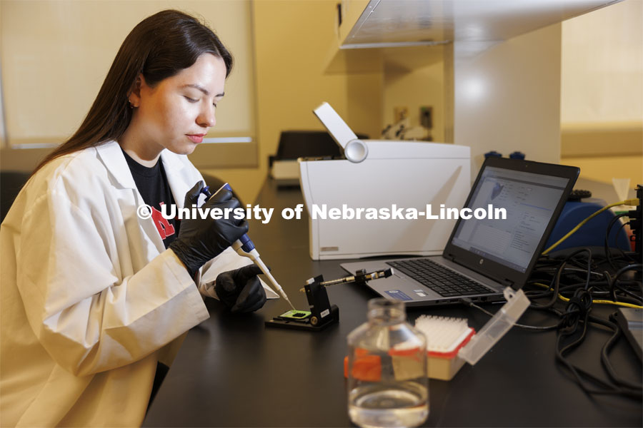 Kassandra Durazo-Martineza, a graduate student in animal science, pipettes a sample in the Flow Cytometry lab in the Morrison Center. Nebraska Center for Biotechnology. June 13, 2024. Photo by Craig Chandler / University Communication and Marketing.