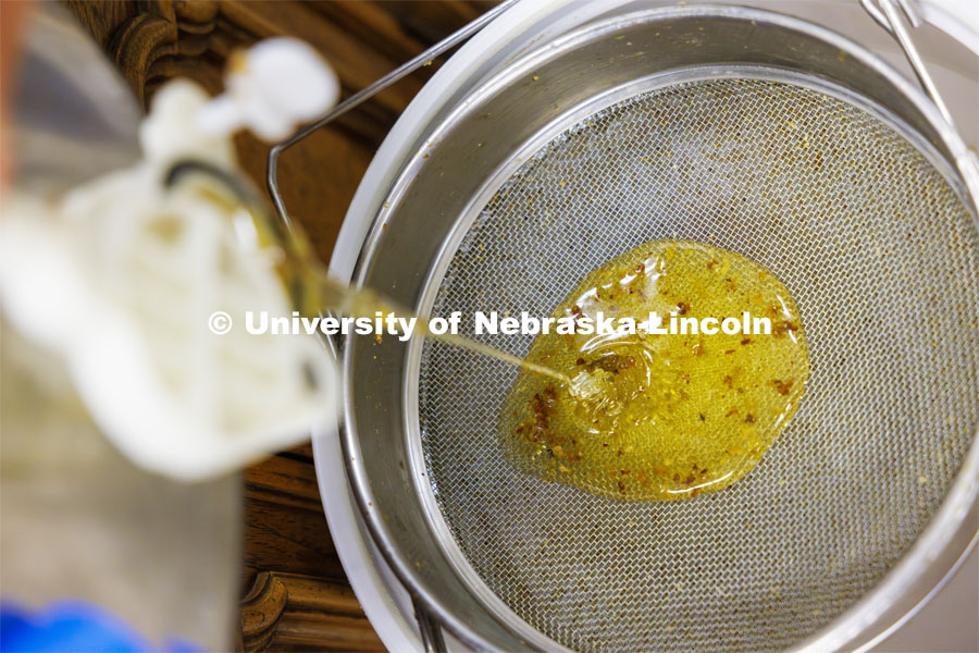 Honey flows from the extractor through a two-stage filter to remove pieces of honeycomb from the hive. Shelby Kittle, graduate student in entomology, harvests honey from bee hives. June 25, 2024. Photo by Craig Chandler / University Communication and Marketing.