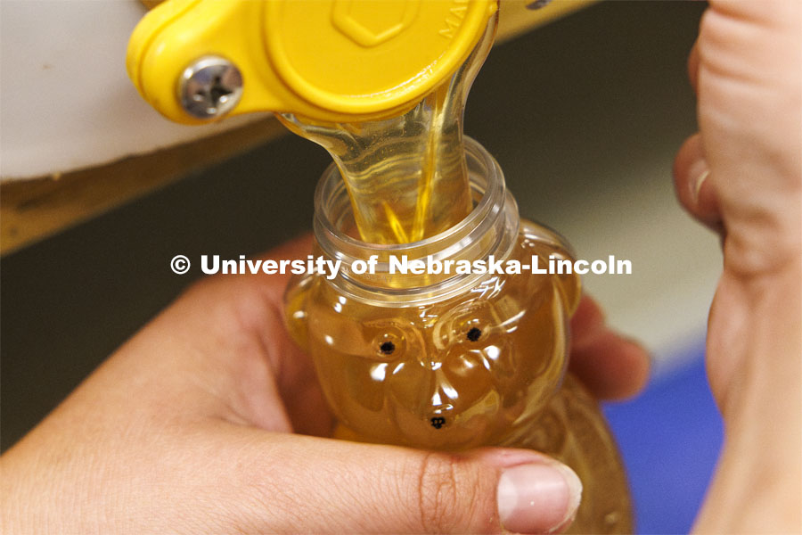 Nebraska honey fills the traditional honey bear bottle. Shelby Kittle, graduate student in entomology, harvests honey from bee hives. June 25, 2024. Photo by Craig Chandler / University Communication and Marketing.