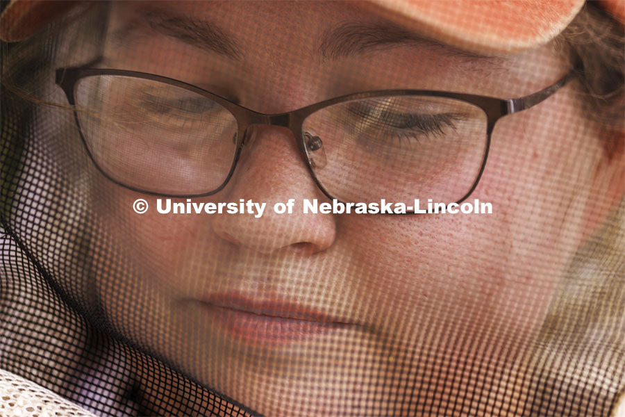 Shelby Kittle investigates a hive to check if the honey is ready to be harvested. Kittle, research technician and graduate student in entomology, removes frames from beehive on east campus. Hives are checked as sections of the hive are brought to the lab when they are full of honey. The UNL Bee Lab team monitors hives at multiple locations, harvesting the honey to use for education and as a fundraiser. June 27, 2024. Photo by Craig Chandler / University Communication and Marketing.