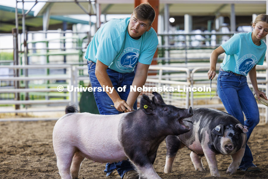Collin Vrbka coaxes his pig around the ring as Collin maintains eye contact with the judge. 4-H Polk County Fair in Osceola, Nebraska. July 19, 2024.  Photo by Craig Chandler / University Communication and Marketing.