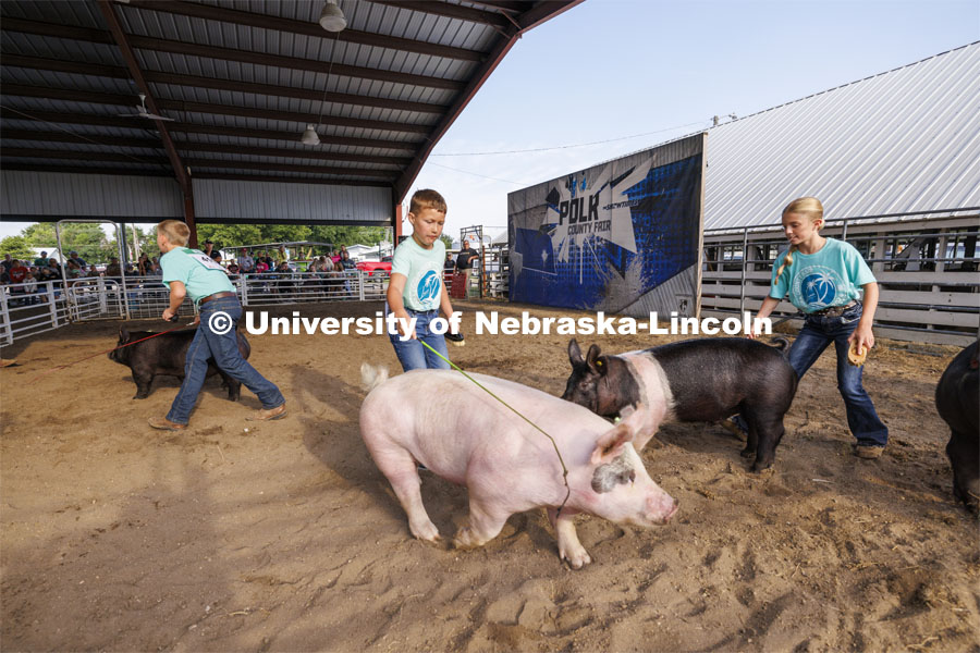 4-H Polk County Fair in Osceola, Nebraska. July 19, 2024.  Photo by Craig Chandler / University Communication and Marketing