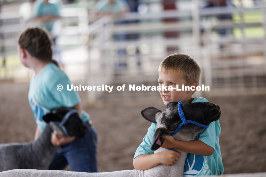 A young boy hugs his sheep. 4-H Polk County Fair in Osceola, Nebraska. July 19, 2024. Photo by Craig Chandler / University Communication and Marketing.