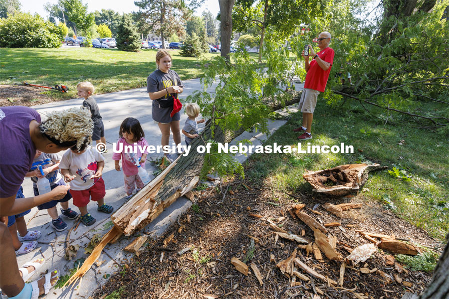 Children in the Ruth Staples Laboratory turned their daily walk into a service project as they helped collect sticks that fell during Wednesday evening’s storm. August 1, 2024.  Photo by Craig Chandler / University Communication and Marketing.