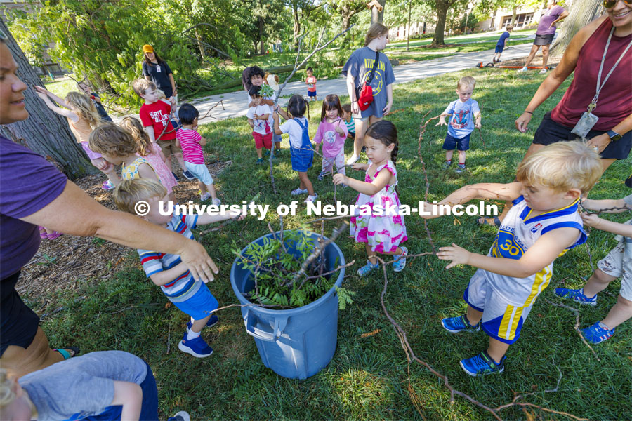 Children in the Ruth Staples Laboratory turned their daily walk into a service project as they helped collect sticks that fell during Wednesday evening’s storm. August 1, 2024.  Photo by Craig Chandler / University Communication and Marketing.