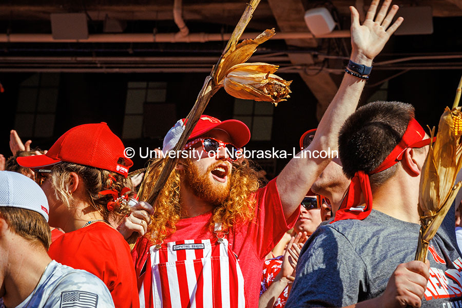 Husker Fans hold stalks of corn at the Nebraska vs Rutgers football game. Homecoming game. October 5, 2024. Photo by Kristen Labadie / University Communication.