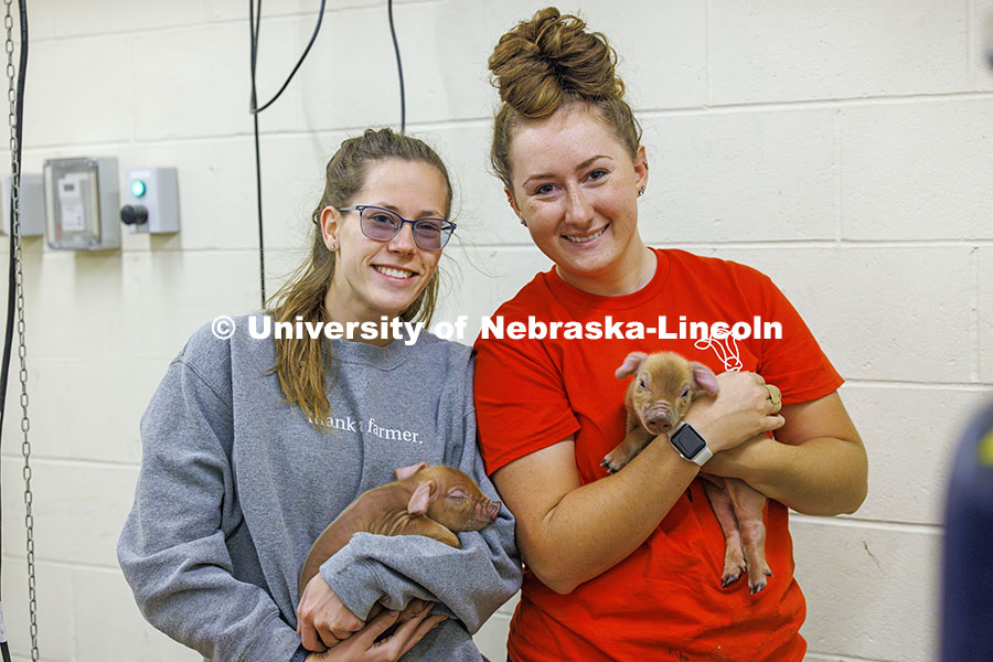 Breanna Gilmore and McKenna Carr pose with baby pigs. Three student workers in the Animal Science building live in an apartment in the building. October 14, 2024. Photo by Craig Chandler / University Communication and Marketing.