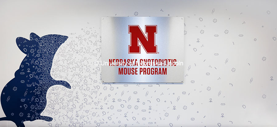 Sign in the Nebraska Gnotobiotic Mouse Program. October 16, 2024. Photo by Craig Chandler / University Communication and Marketing.