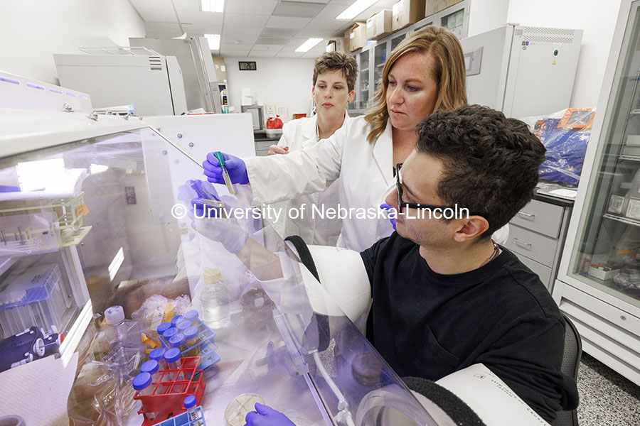 Graduate student David Gomez compares a sample being analyzed in an anaerobic chamber to one held by lab manager Kristin Beede as Professor Amanda Ramer-Tait looks on. Nebraska Gnotobiotic Mouse Program. October 16, 2024. Photo by Craig Chandler / University Communication and Marketing.