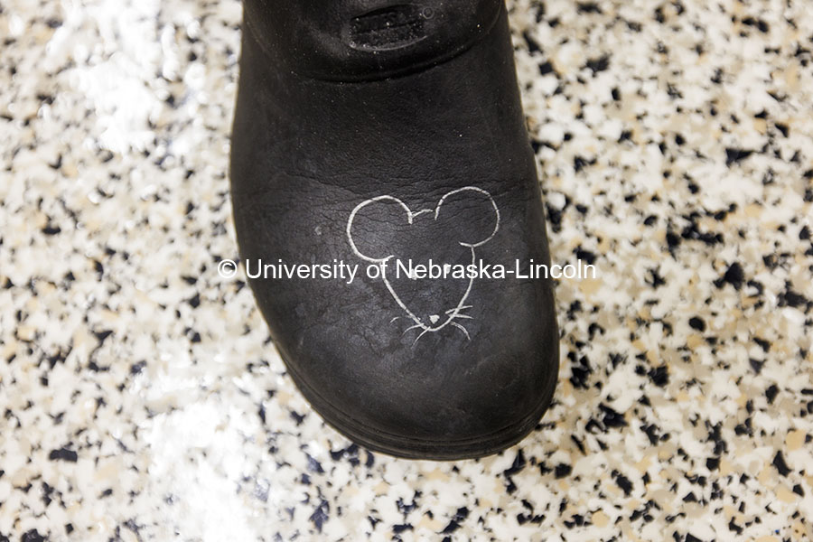 A technician has a mouse face drawn on the top of their shoe. Nebraska Gnotobiotic Mouse Program. October 16, 2024. Photo by Craig Chandler / University Communication and Marketing.