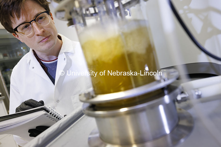 Connor Hines, graduate student in biochemistry works in the Buan laboratory. Buan Laboratory in the Beadle Center. October 18, 2024. Photo by Craig Chandler / University Communication and Marketing.