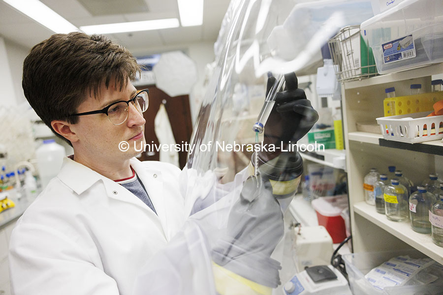 Connor Hines, graduate student in biochemistry works in the Buan laboratory. Buan Laboratory in the Beadle Center. October 18, 2024. Photo by Craig Chandler / University Communication and Marketing.