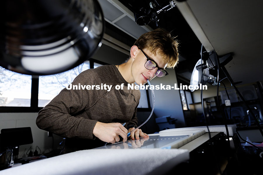 Sophomore biological sciences major Andrew Moyer places individual fruit flies into sectioned portions of a tray to observe if they will move to the warm or cold side inside a Manter Hall lab. Using recorded video and artificial intelligence Moyer can assess if a strain of fly prefers a hot or cold environment. October 24, 2024. Photo by Jordan Opp / University Communication and Marketing.