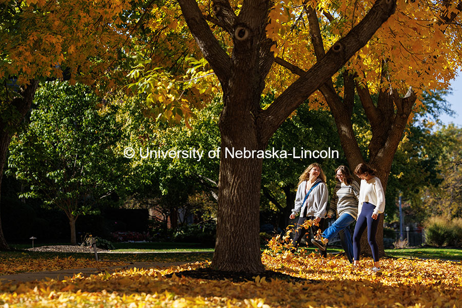 Riley Bruno kicks up some leaves as she and Emily Hodgin (left), and Natalie Altenhoff walk through newly-fallen leaves on city campus near R Street. October 25, 2024. Photo by Craig Chandler / University Communication.