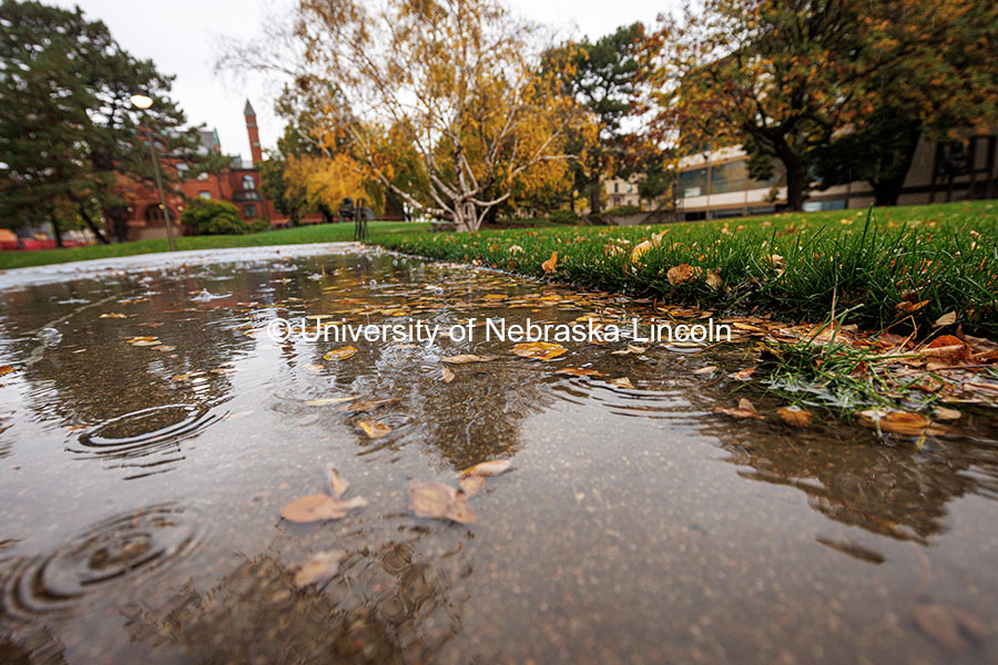 Rain puddle outside of the Sheldon Art Museum. Fall on City Campus. October 30, 2024. Photo by Kristen Labadie / University Communication.