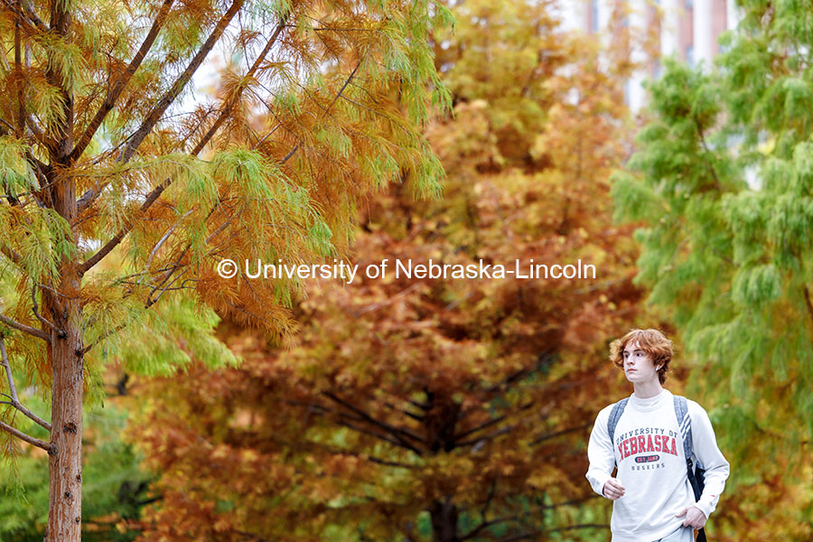 A student walks towards Love Library. On campus. November 4, 2024. Photo by Jordan Opp / University Communication and Marketing.