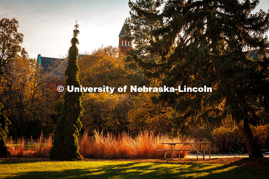 Fall Scenery on city campus. Architecture Hall. November 8, 2024. Photo by Kristen Labadie / University Communication.