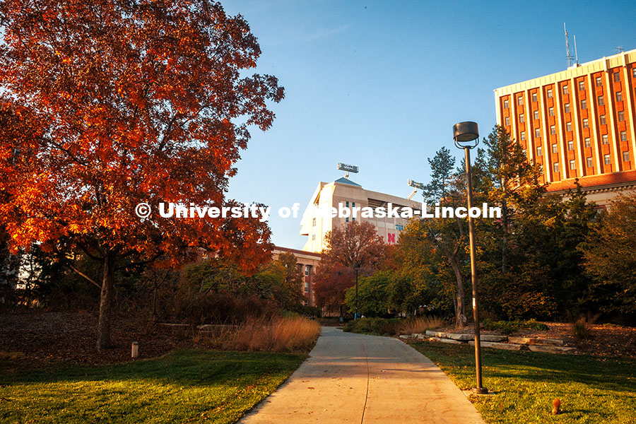 Fall Scenery on City Campus. Memorial Stadium and Oldfather Hall. November 8, 2024. Photo by Kristen Labadie / University Communication.