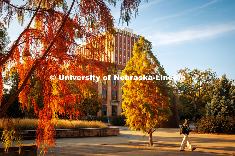 Fall Scenery on city campus. Oldfather Hall November 8, 2024. Photo by Kristen Labadie / University Communication.