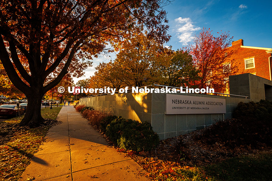 Fall Scenery on City Campus. Nebraska Alumni Association. November 8, 2024. Photo by Kristen Labadie / University Communication.