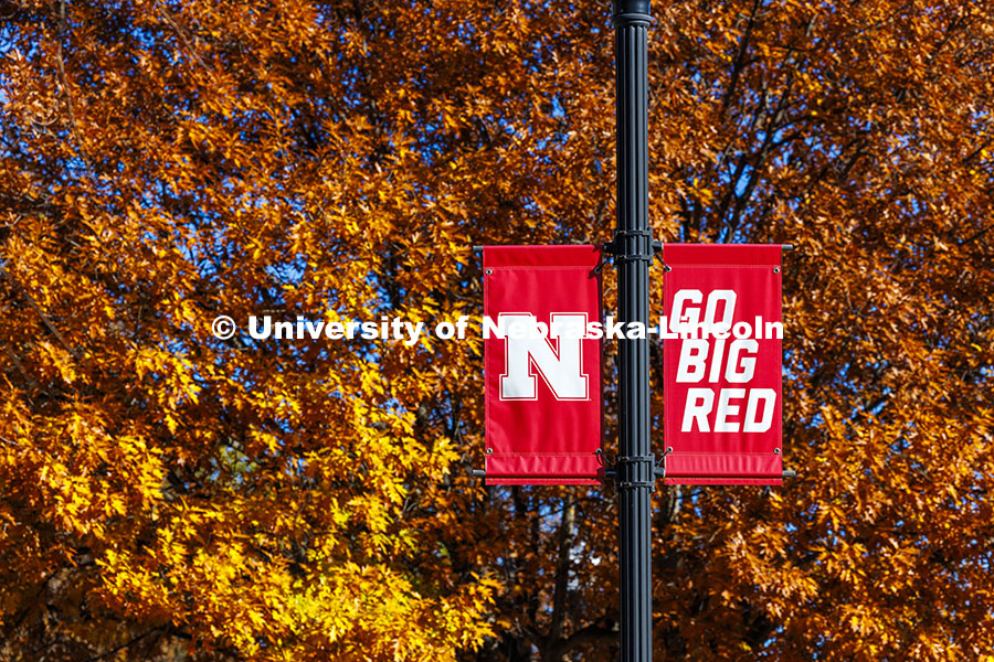 Go Big Red banners against a glowing fall backdrop. Fall on City Campus. November 15, 2024. Photo by Craig Chandler / University Communication.