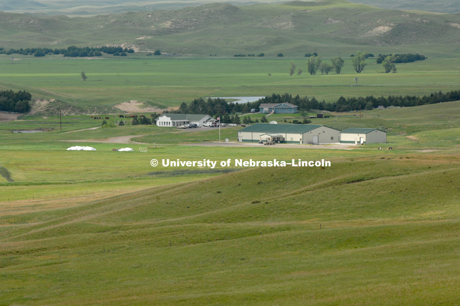 Sandhills cattle ranch.  