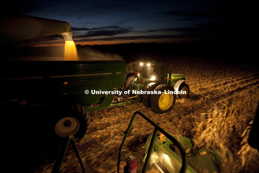 Corn harvest between Dorchester and York. October, 11, 2010.  