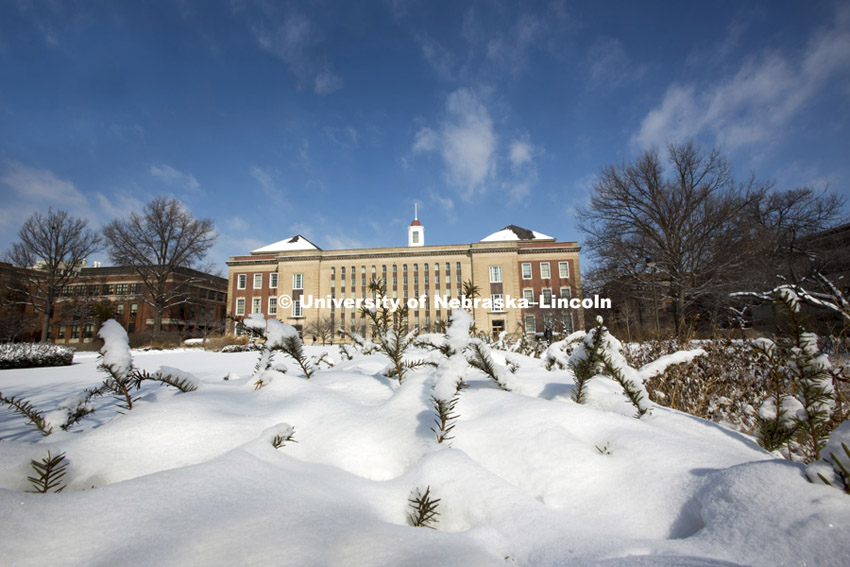 Snow on UNL campus. Friday, February 23, 2013. 