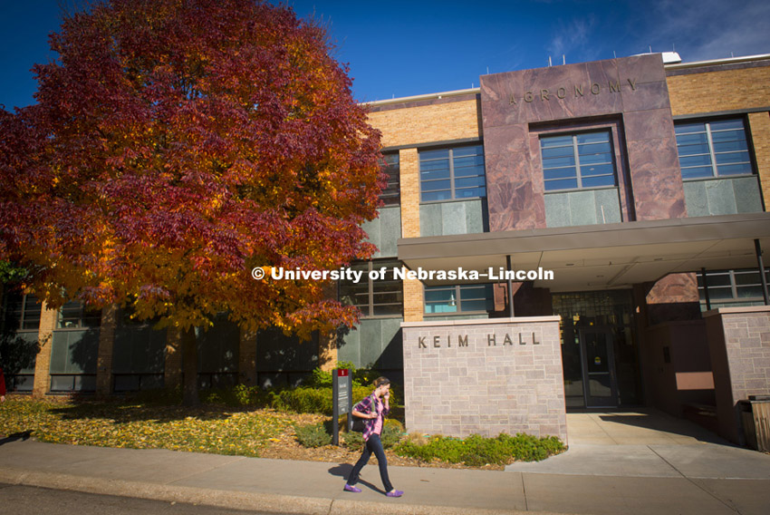 Keim Hall, fall east campus photos, October 22, 2014. 