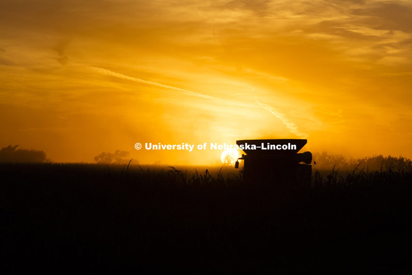 Spohn Farms, Friend, NE. Corn Harvest. South-central Nebraska.  October 15, 2015. 