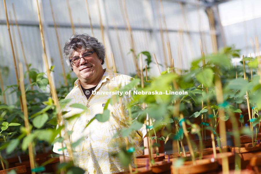 Thomas Clemente is one of 14 University of Nebraska researchers who are part of the Nebraska Food fo