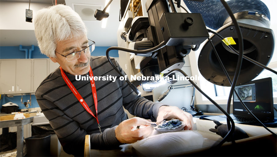 Rob Skolnick works to remove rock from around a lemur fossil in Morrill Hall's Visual Lab on the mus