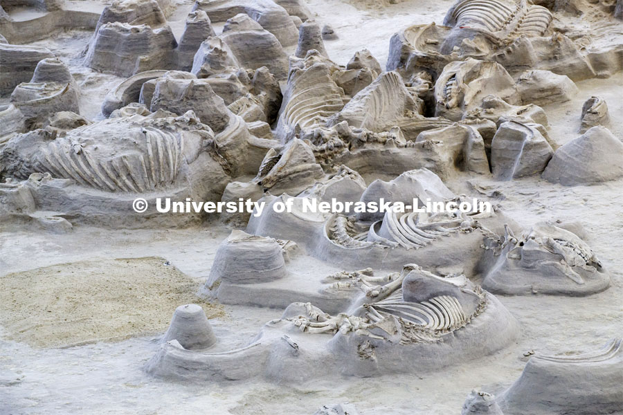 Ashfall Fossil Beds State Historical Park in north central Nebraska. August 2, 2019. 