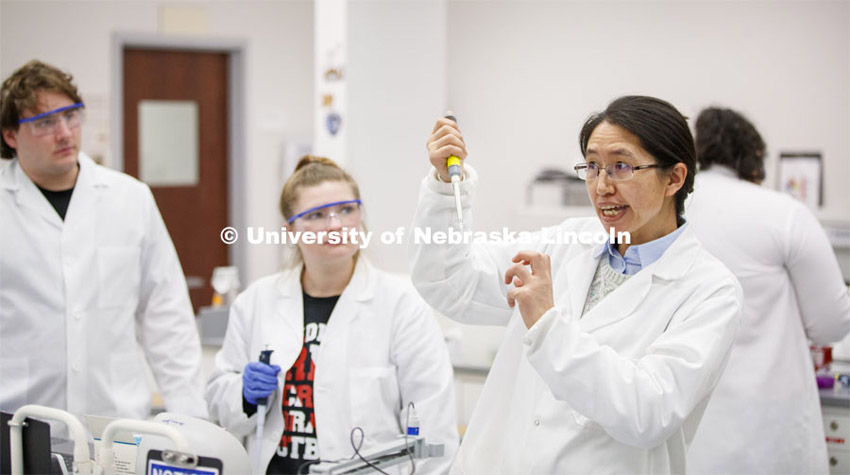 Limei Zhang, Assistant Professor, Department of Biochemistry/Redox Biology Center works with growing