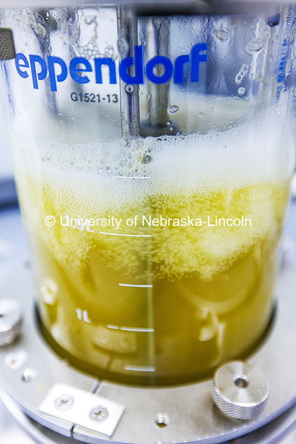 Closeup of a biodigester experiment in the Buan Laboratory. Buan Laboratory in the Beadle Center. Oc