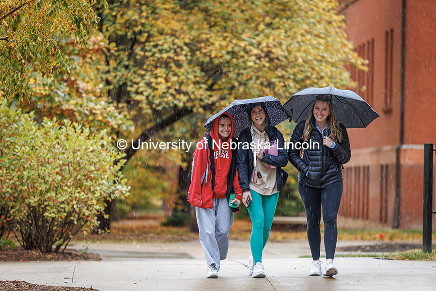 241030_Campus_Rain_216.jpg Friends huddle under umbrellas as they walk in the rain together. Fall on City Campus. October 30, 2