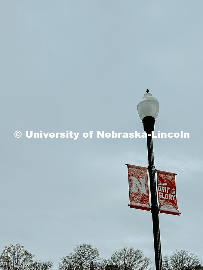 The light post and N banners are covered in snow. Snow on City Campus. January 8, 2024. Taylor DeMar