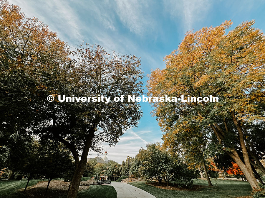 Sidewalk leading up to Love Library. Fall photos on City Campus. July 1, 2024. Taylor DeMaro / Unive