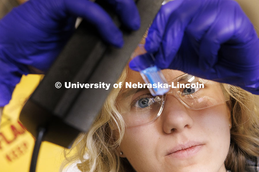 Lauren Moon, a senior in chemistry from Beatrice, performs an enzyme assay that can be viewed by the