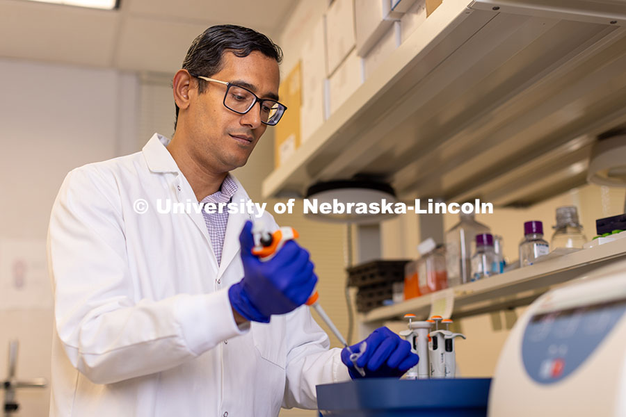 250421_Sukumaran_1.jpg Sunil Sukumaran, Assistant Professor of Nutrition and Health Sciences, is a NSF Career Award recipie